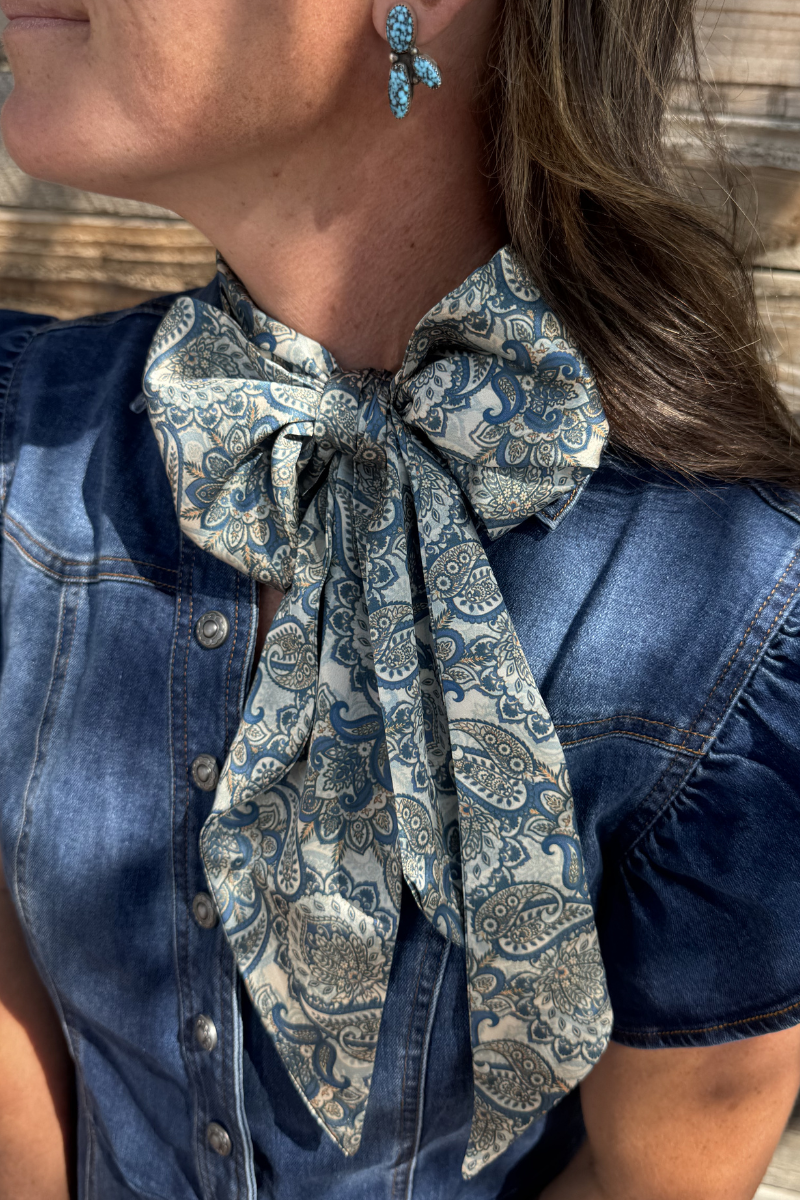 Sterling Kreek - Dusty Denim Paisley Latigo: O/S