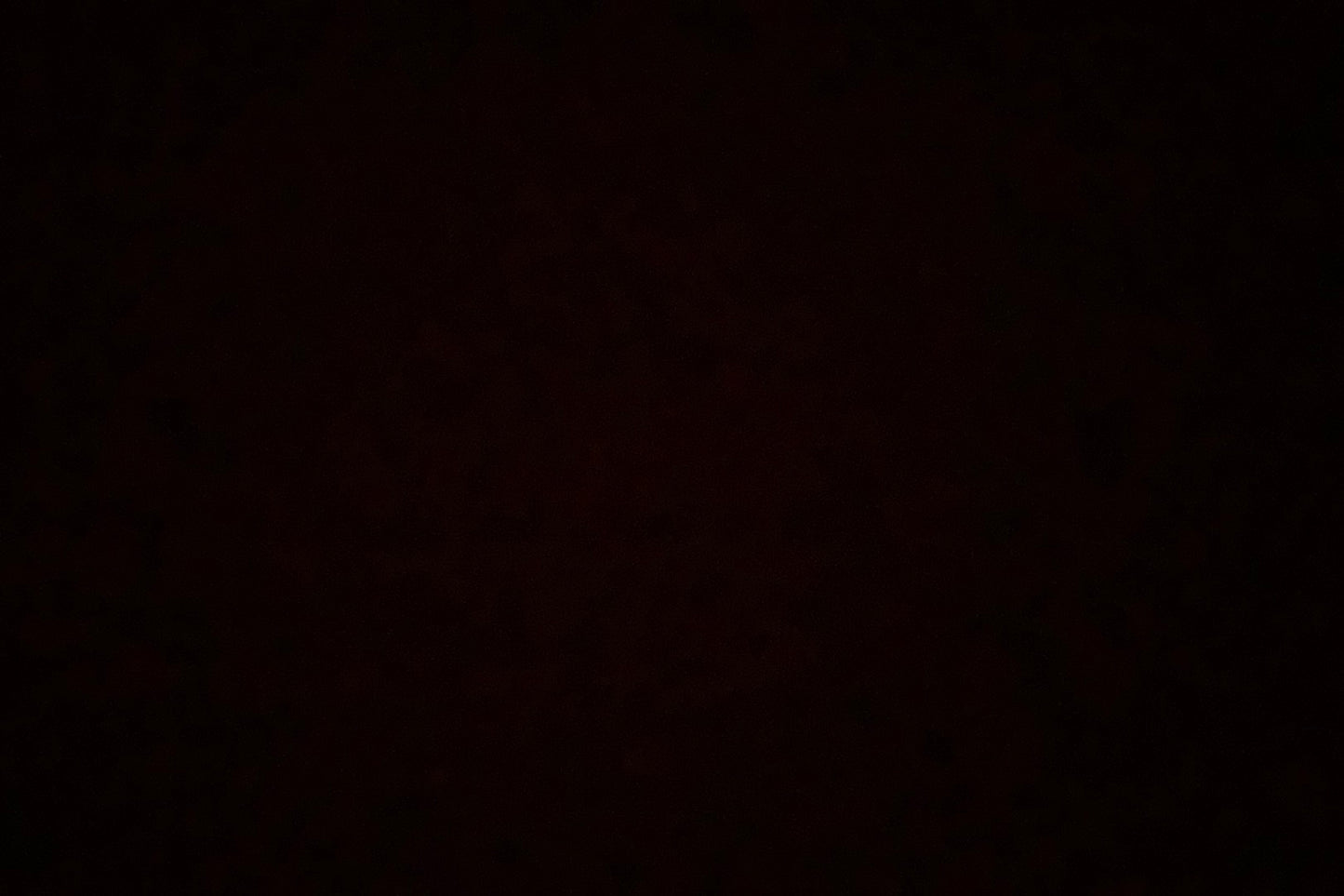 TWISTED X TWO BLADE KNIFE