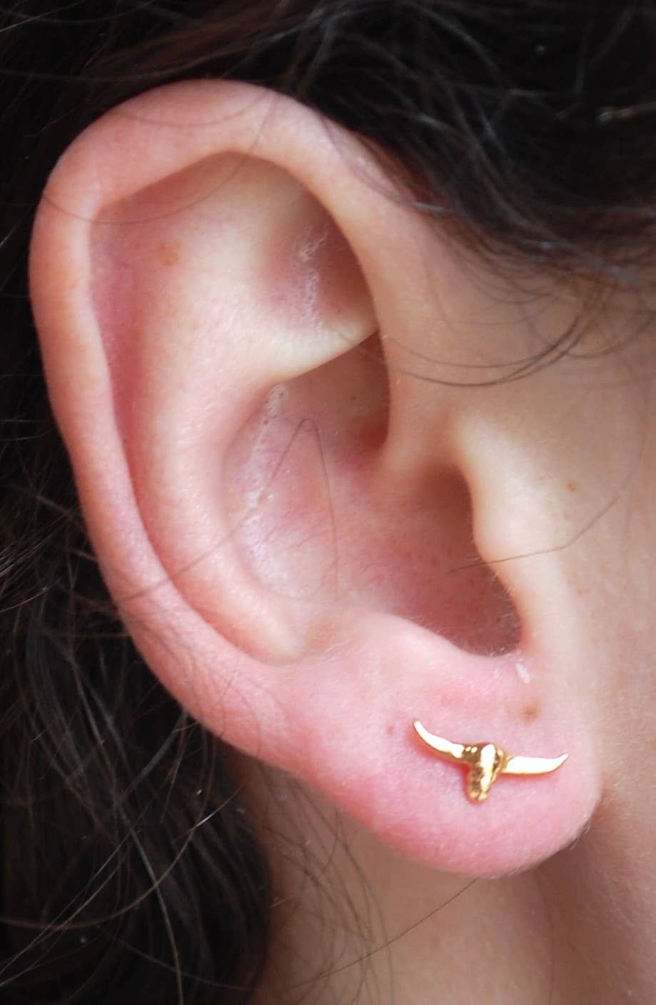 Semaki & Bird - Longhorn Stud Earrings - gold Natural History