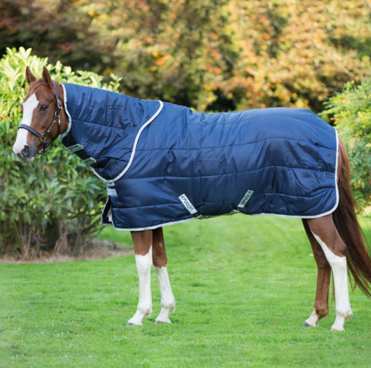 HORSEWARE IRELAND AMIGO INSULATOR PLUS MEDIUM TURNOUT INCLUDING HOOD