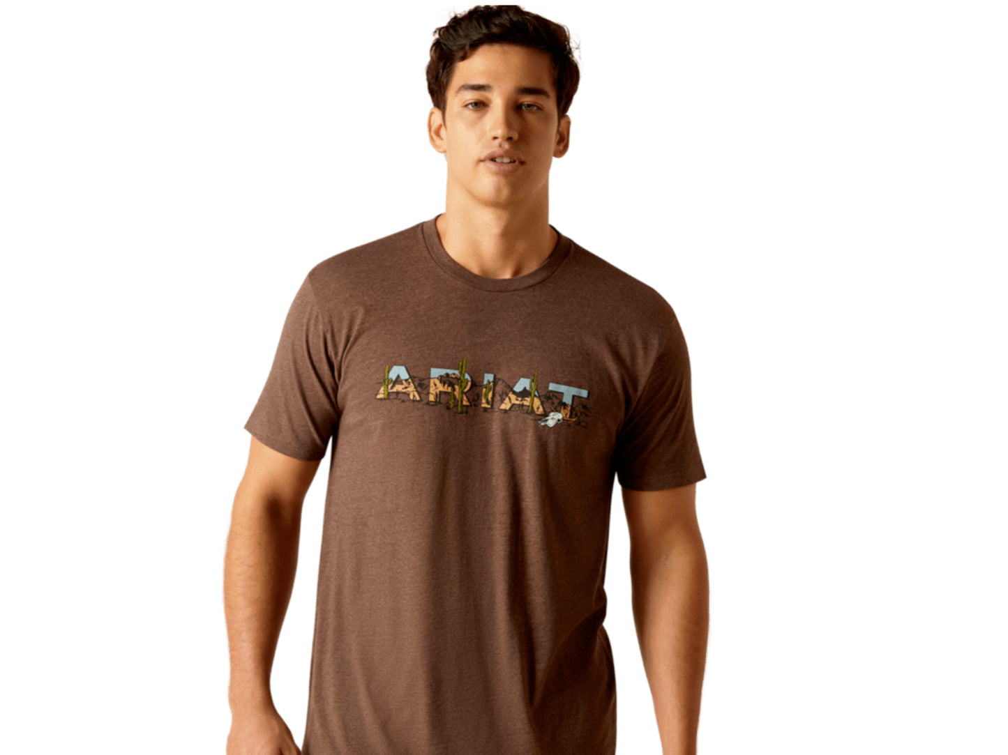 ARIAT MENS LOGO SOUTHWEST LANDSCAPE T-SHIRT