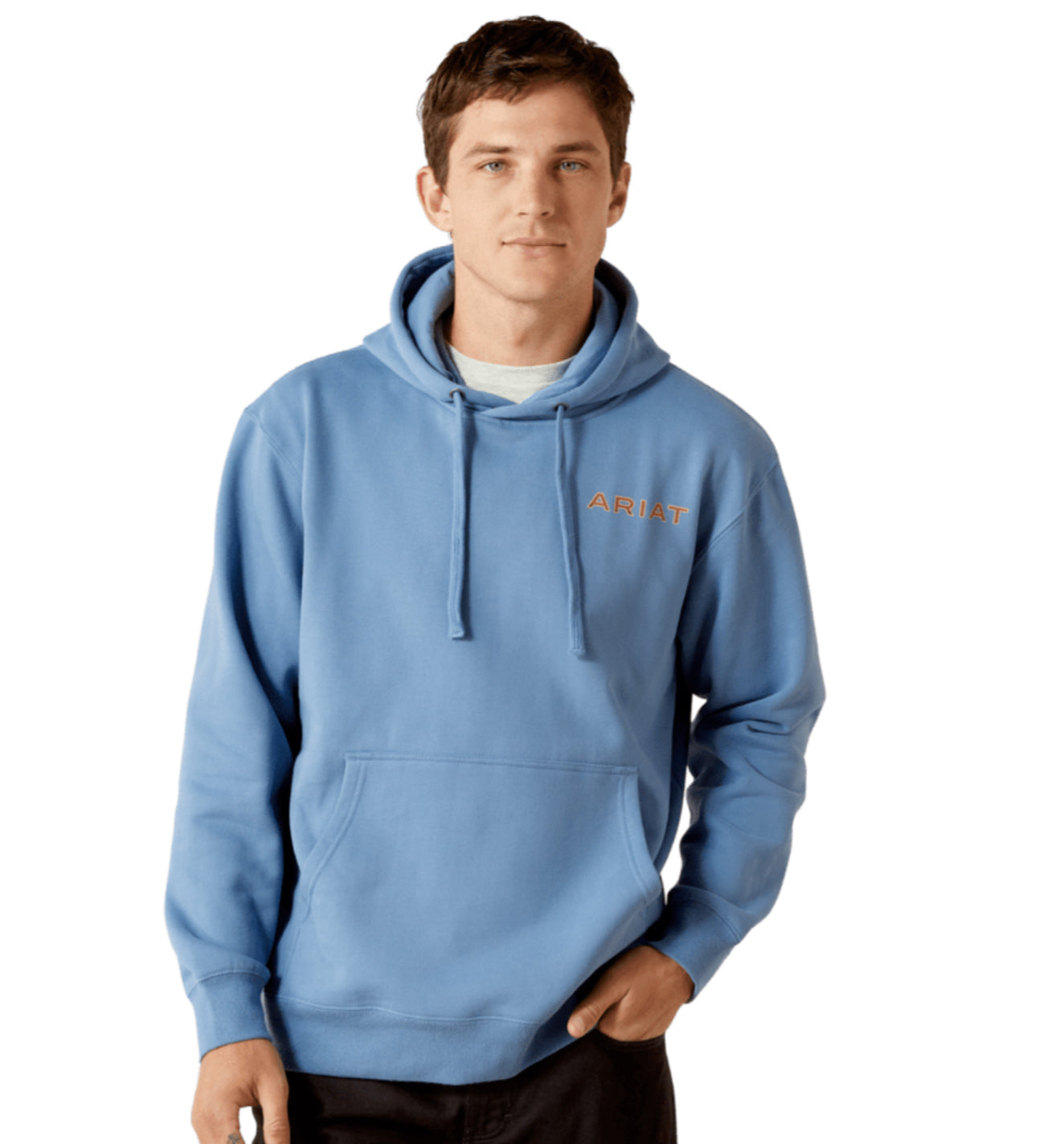 ARIAT MENS SUN VALLEY HOODIE