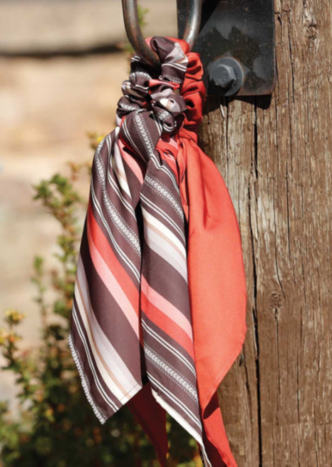 CINCH WOMENS WILDRAG BUNDLE FALL 2025