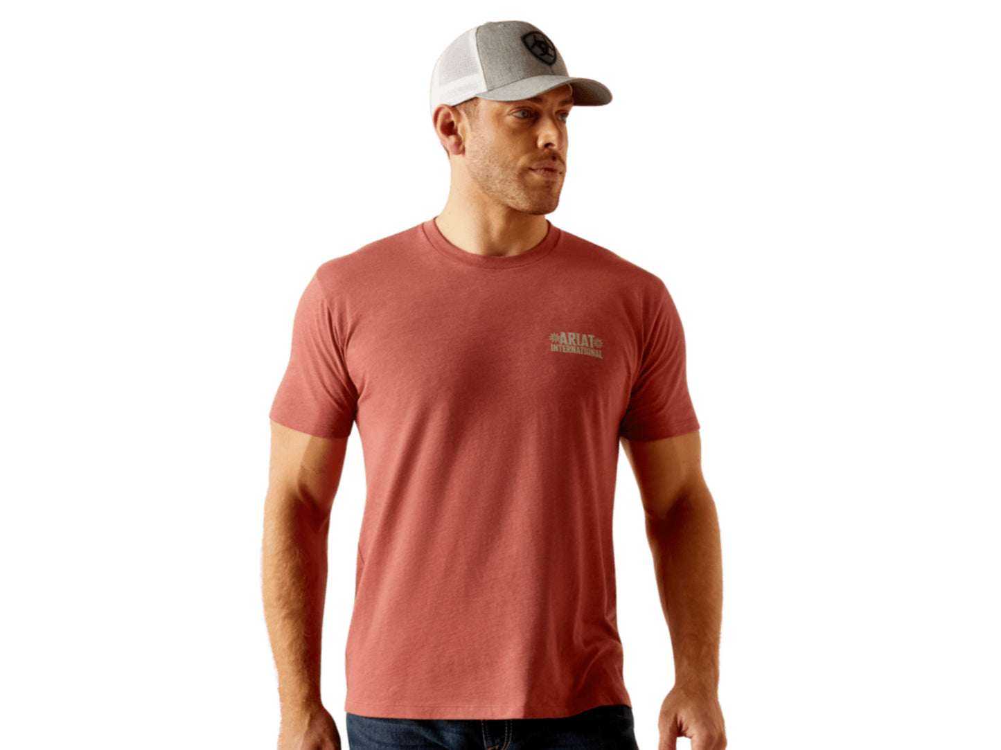 ARIAT MENS SW ELEMENTS T-SHIRT