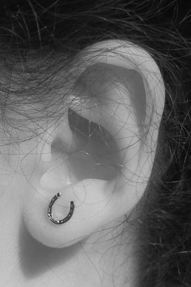 Semaki & Bird - Horseshoe Earrings Gold Natural History