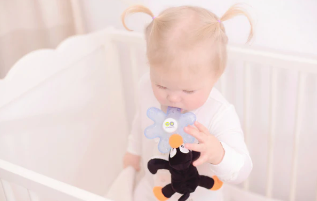 NOOKUMS CHILLIES ICEY PACK & TEETHER