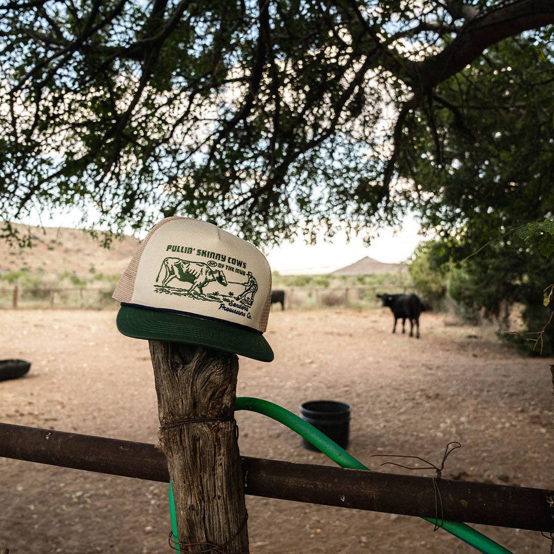 Sendero Provisions Company - Skinny Cows Hat: Cream/Green