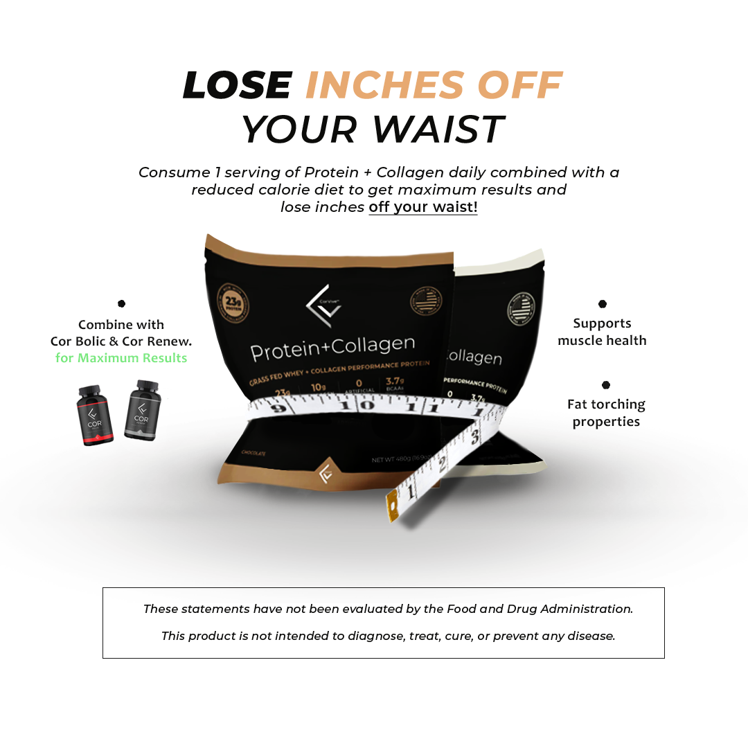 Corvive - Protein + Collagen Powder: Chocolate