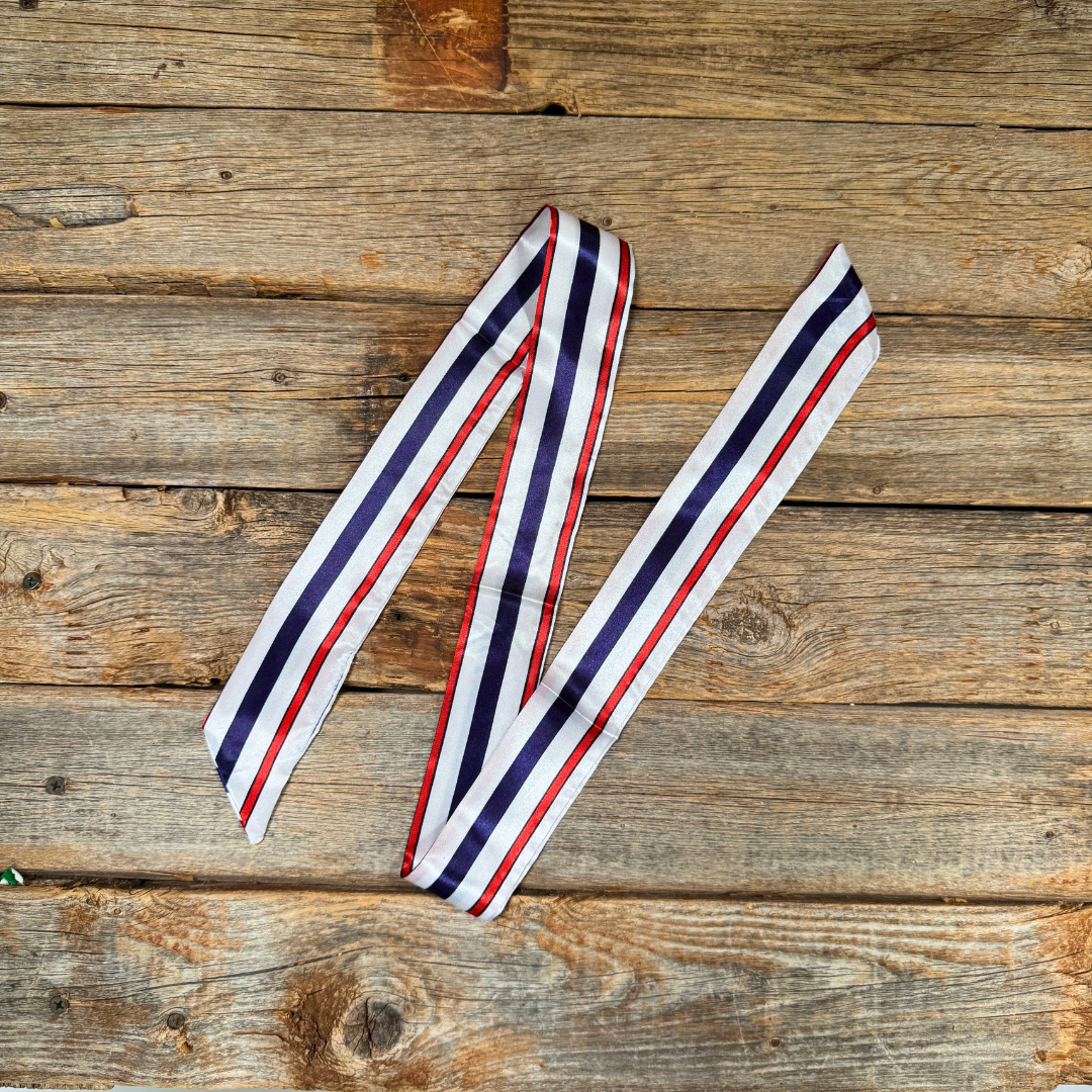 Rodeo Drive - Red, White and Blue Stripes Western Skinny Mini Wild Rag Scarf / Cowgirl Necktie #TW326