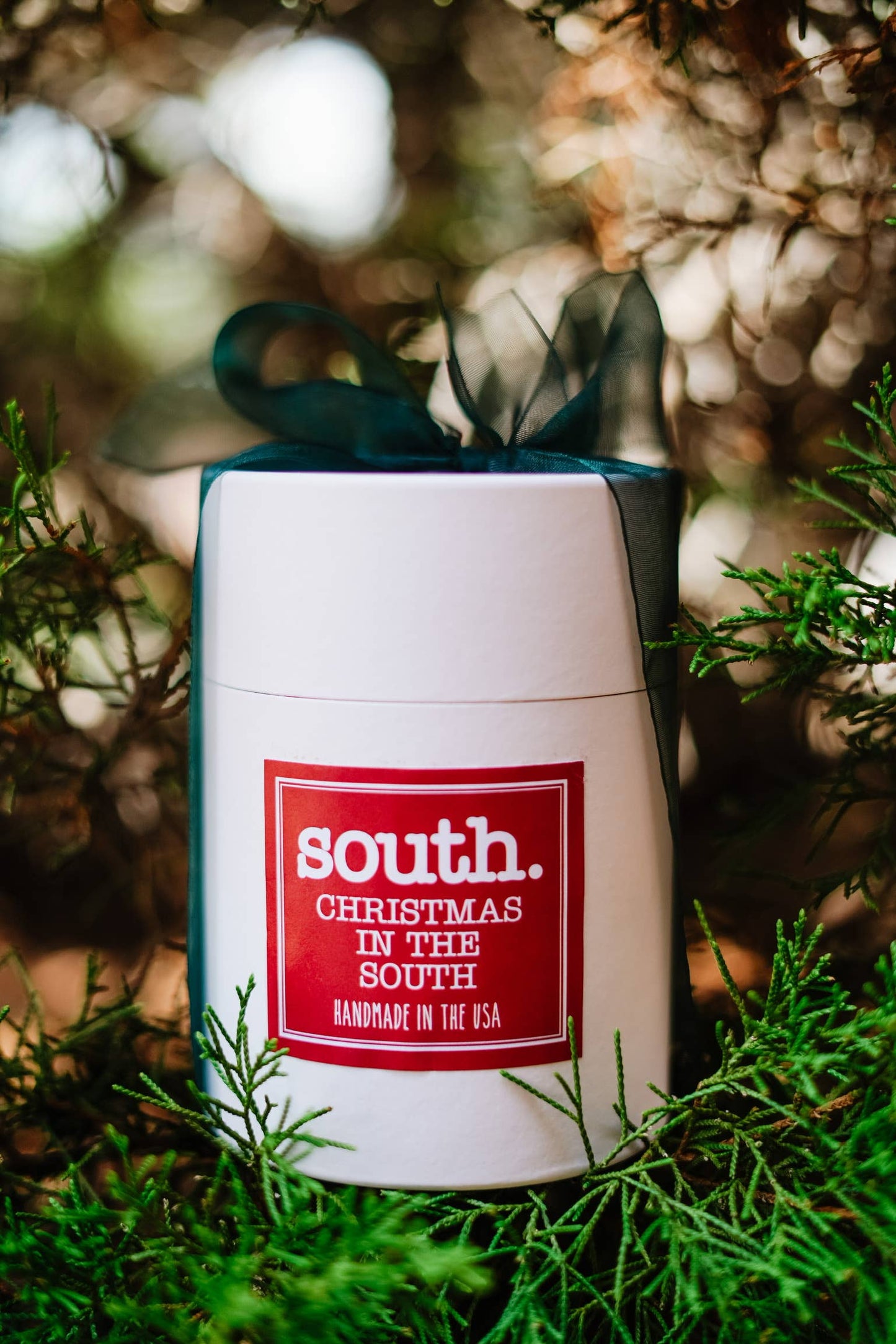 Christmas in the South: Regular