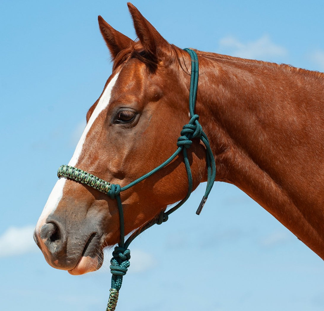 CASHEL BRAIDED NOSE ROPE HALTER WITH 8’ LEAD