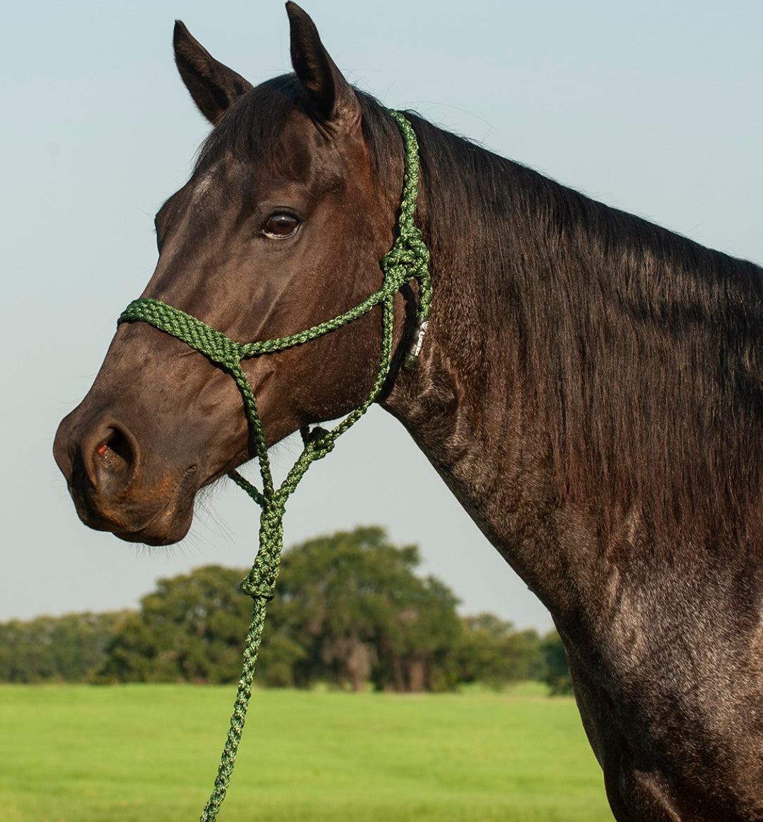 CASHEL FLAT BRAID HALTER WITH 9’ LEAD