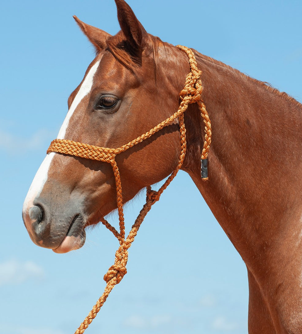 CASHEL FLAT BRAID HALTER WITH 9’ LEAD