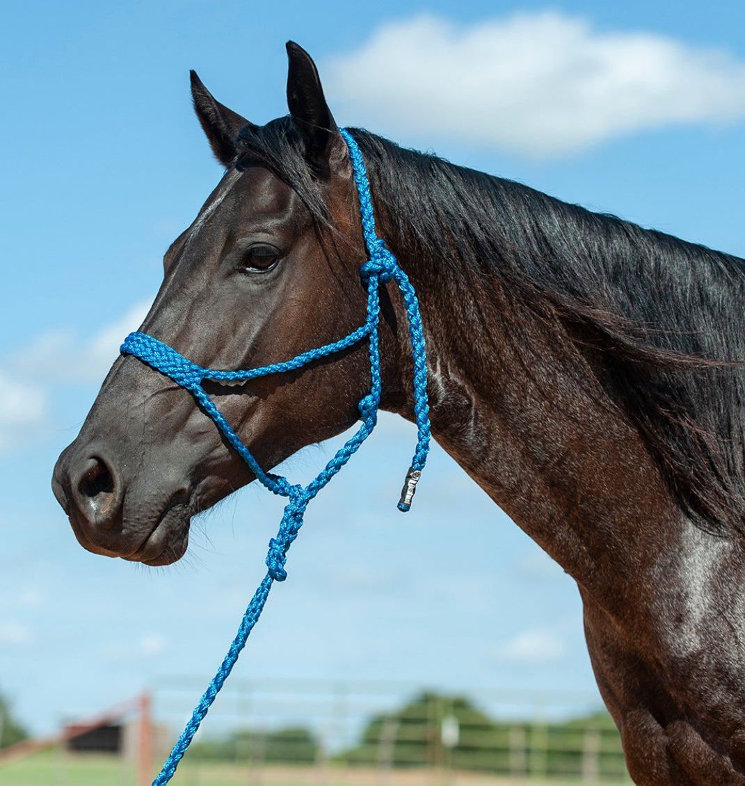 CASHEL FLAT BRAID HALTER WITH 9’ LEAD