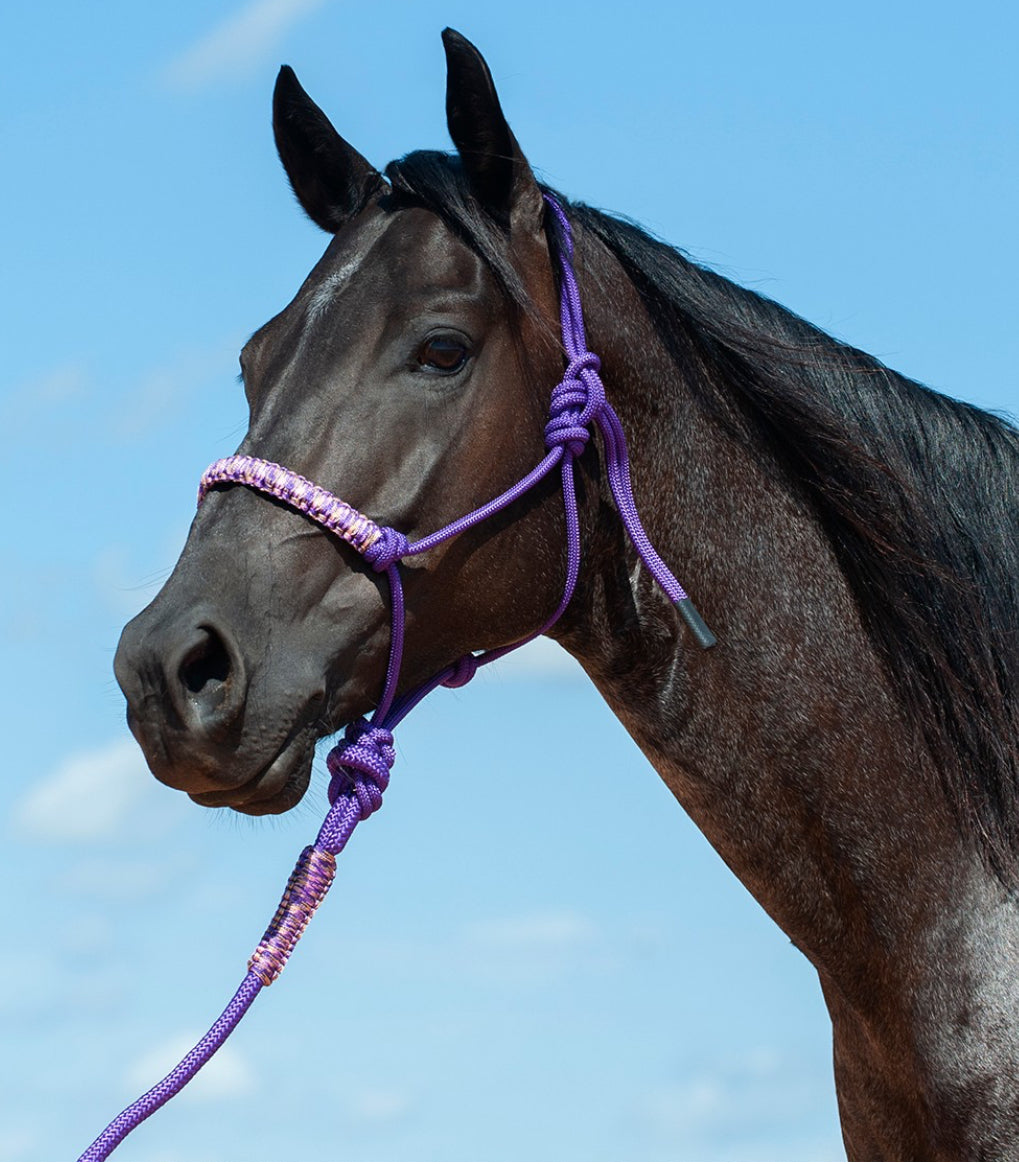 CASHEL BRAIDED NOSE ROPE HALTER WITH 8’ LEAD