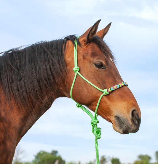 CASHEL BEADED NOSE ROPE HALTER WITH 9’ LEAD