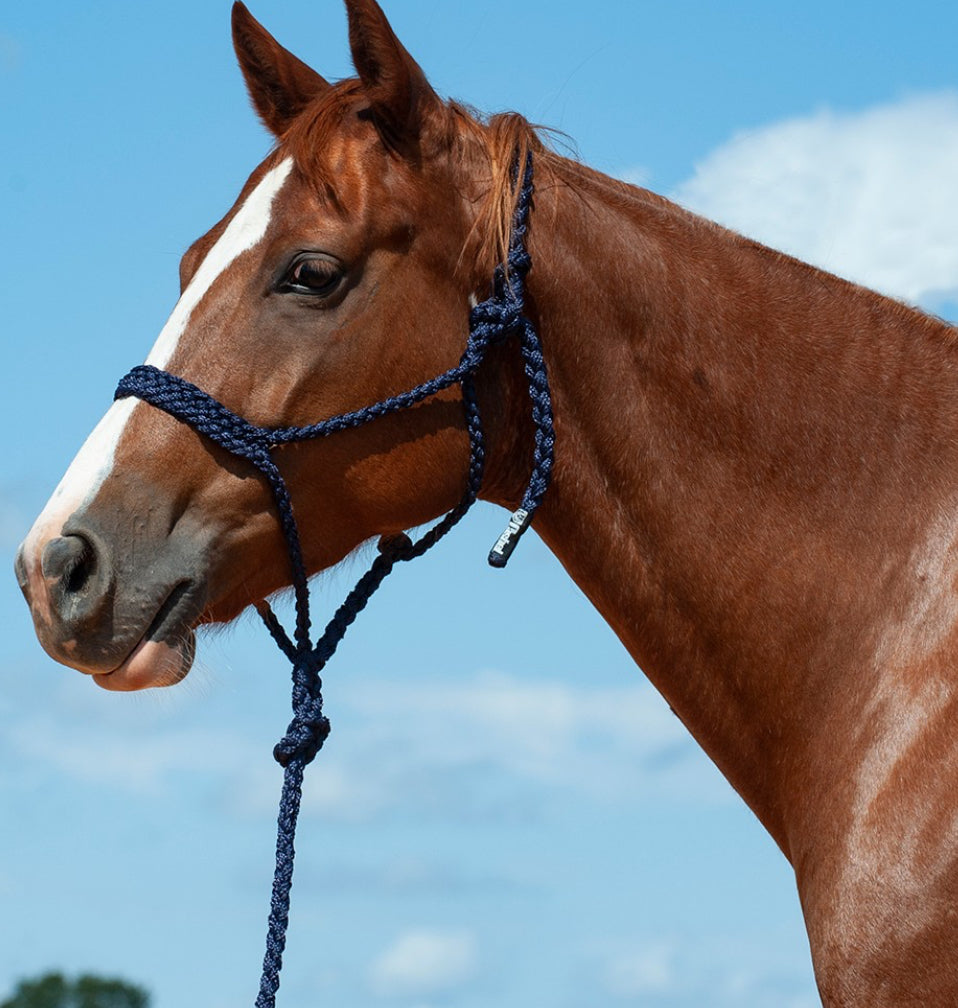 CASHEL FLAT BRAID HALTER WITH 9’ LEAD
