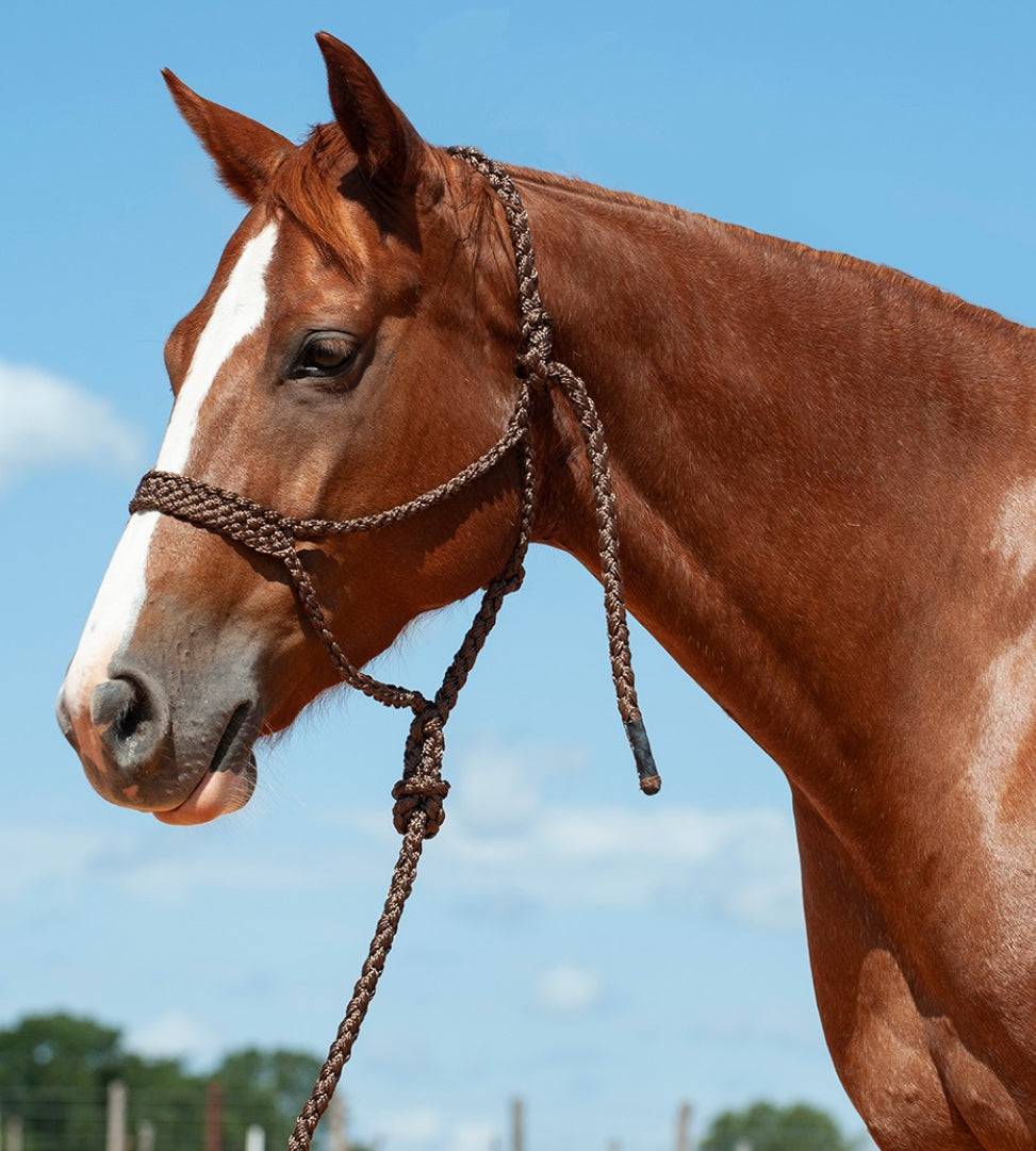 CASHEL FLAT BRAID HALTER WITH 9’ LEAD