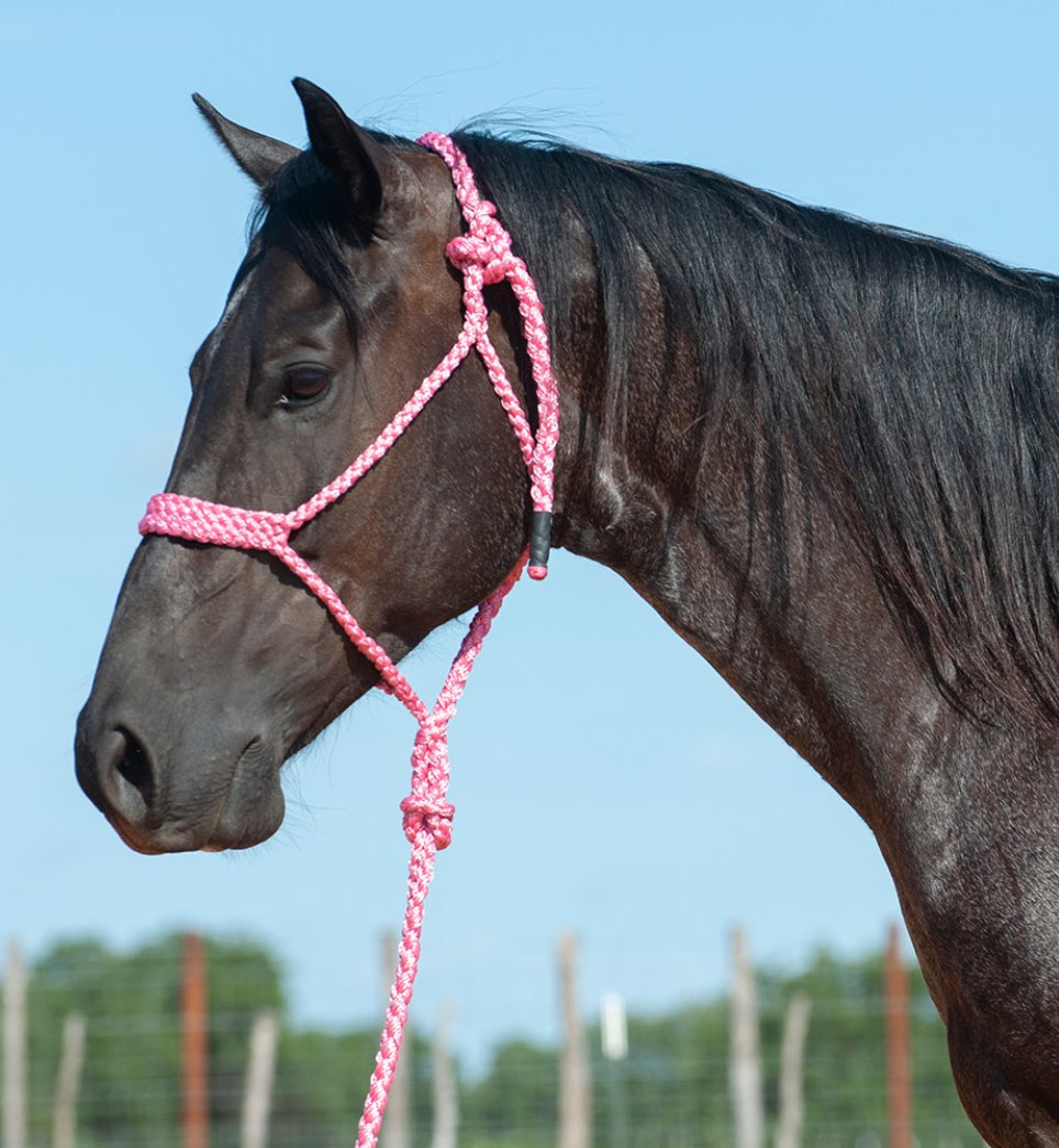 CASHEL FLAT BRAID HALTER WITH 9’ LEAD