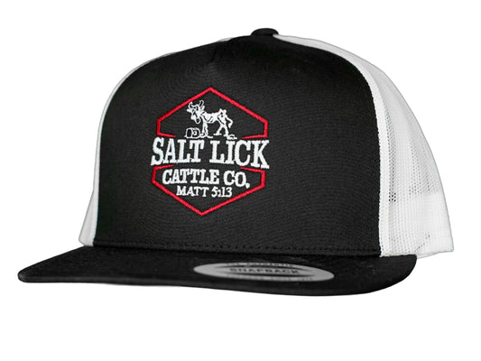 SALTY RODEO CO SALT LICK HAT