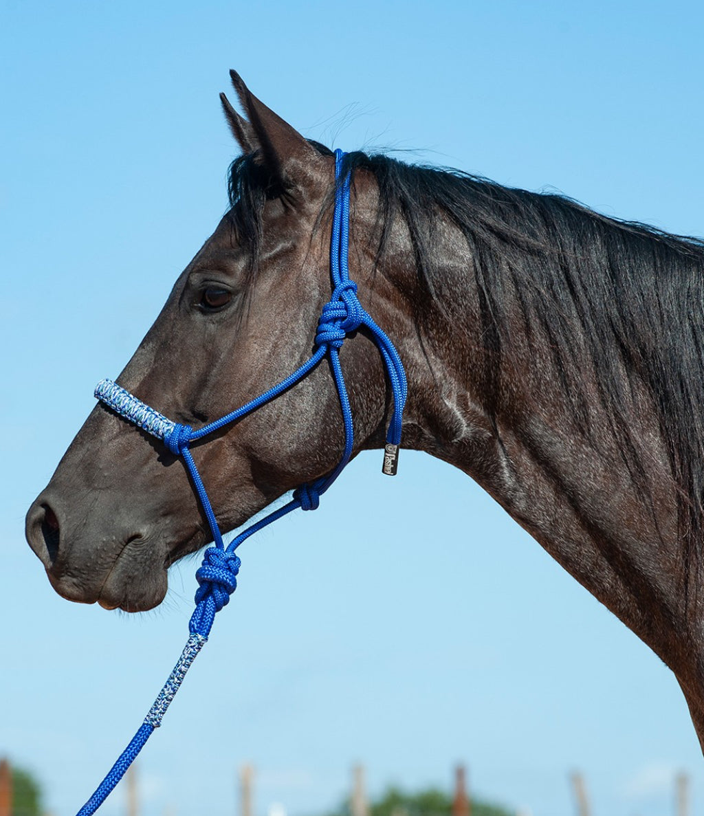 CASHEL BRAIDED NOSE ROPE HALTER WITH 8’ LEAD