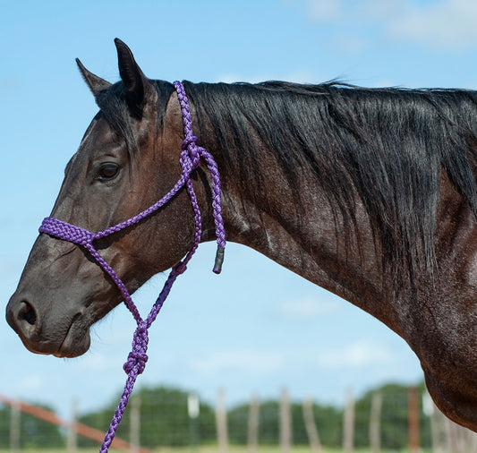 CASHEL FLAT BRAID HALTER WITH 9’ LEAD