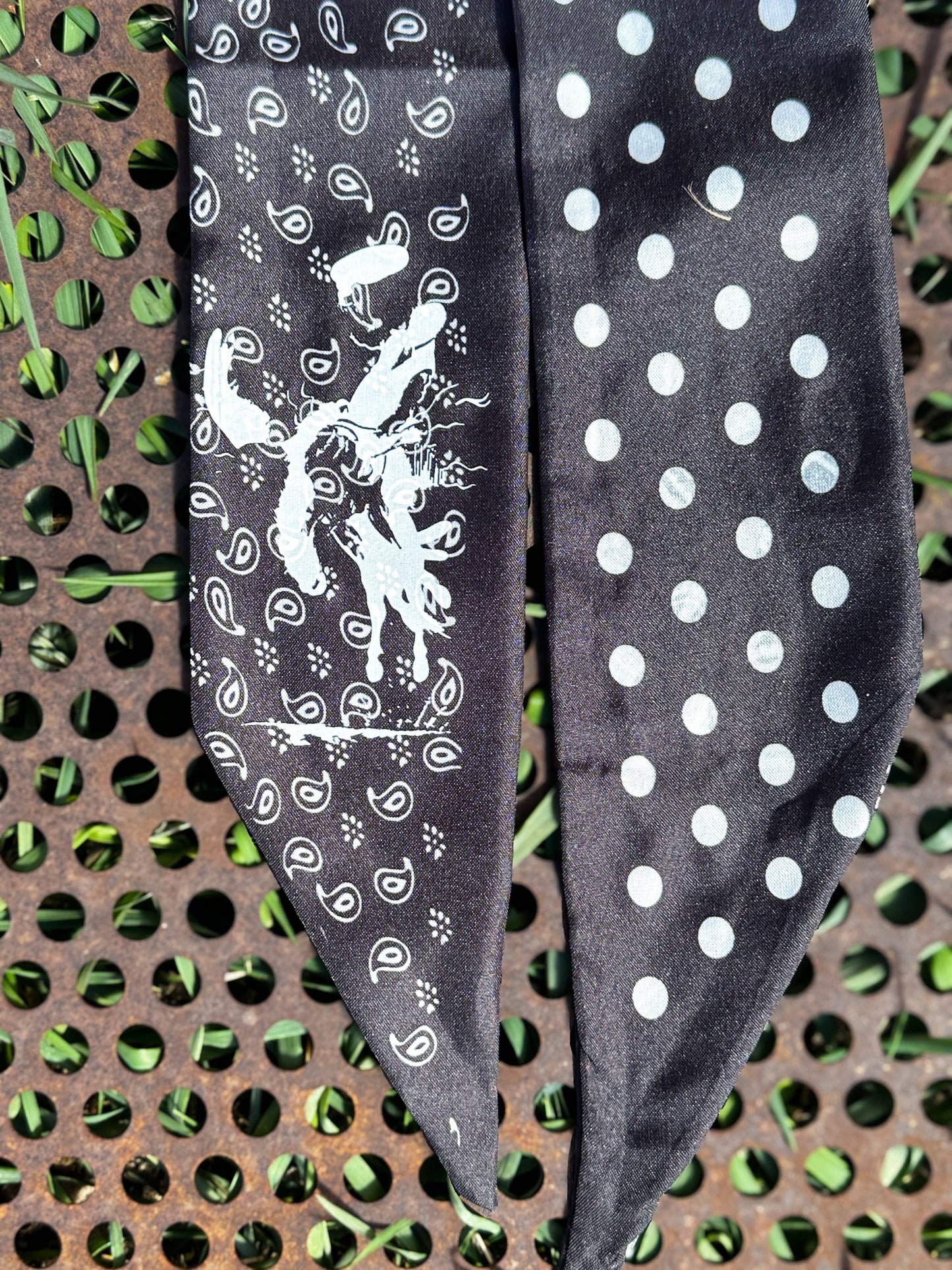 The Rodeo Rose - Paisley Twillys: Black