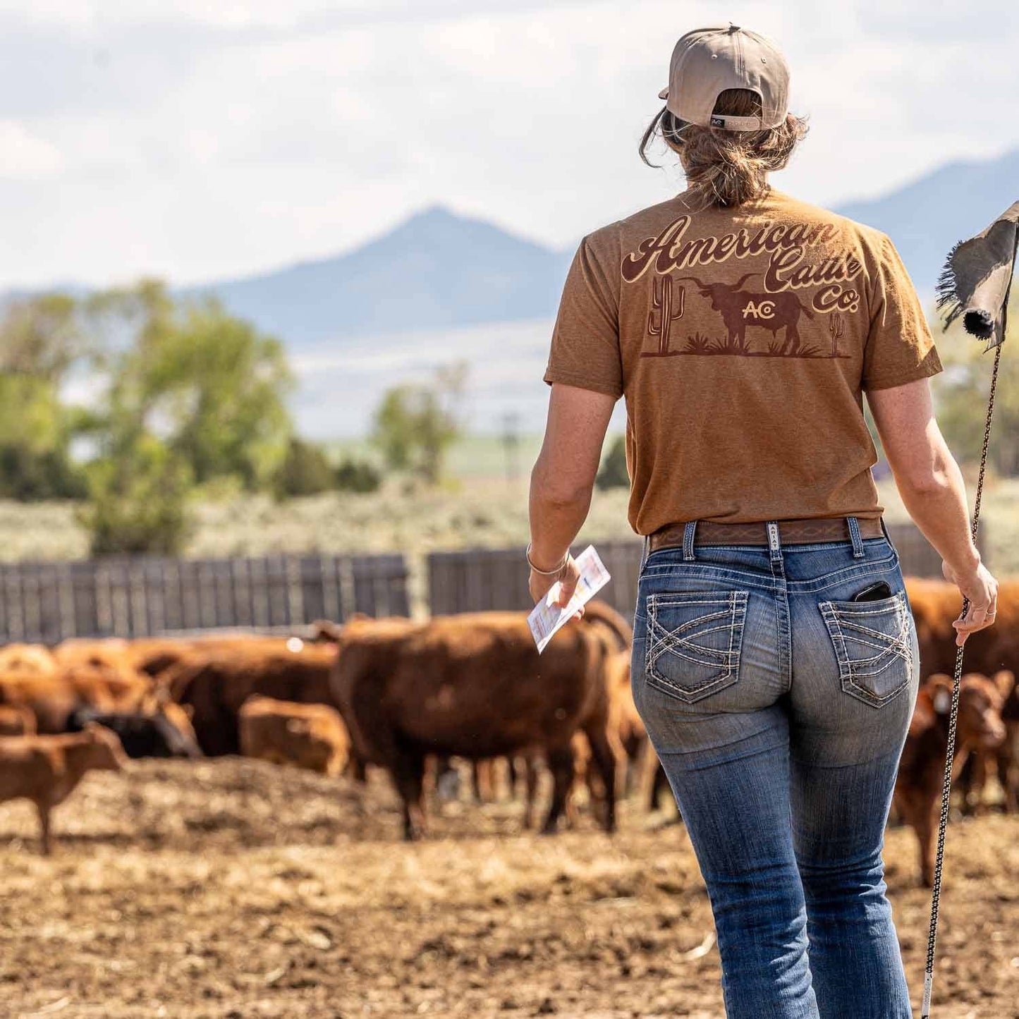 American Cattle Co - Shadowhorn Tee: Gold Heather / LG