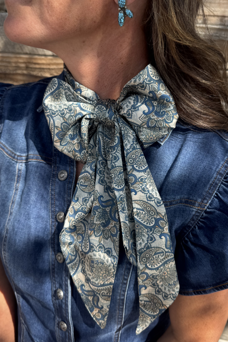 Sterling Kreek - Dusty Denim Paisley Latigo: O/S