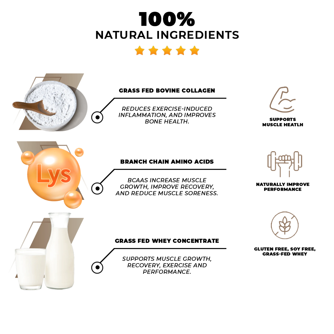 Corvive - Protein + Collagen Powder: Chocolate