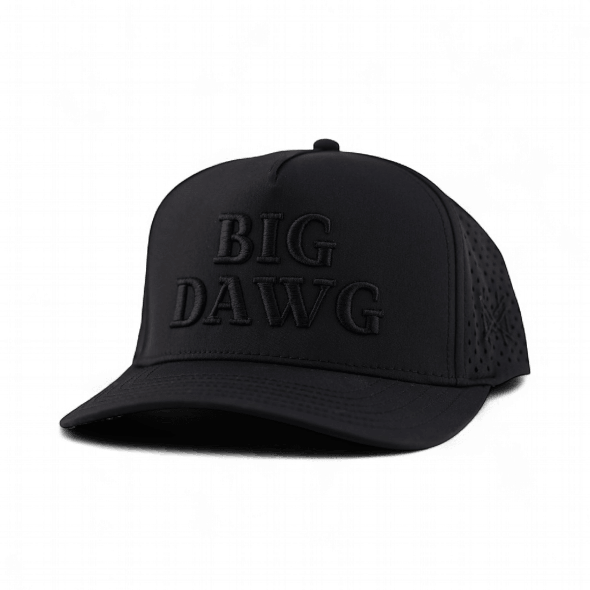 The Mad Hatter Co - Big Dawg Snapback Hat: Retro Shadow
