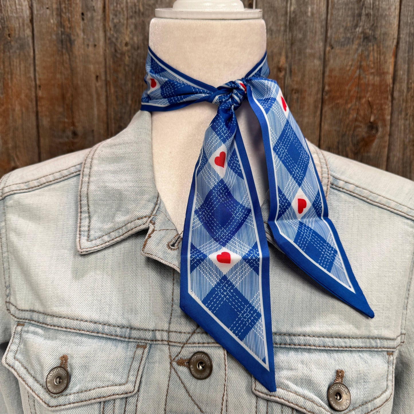 Rodeo Drive - Blue Western Skinny Mini Wild Rag Scarf / Cowgirl Necktie  #TW126