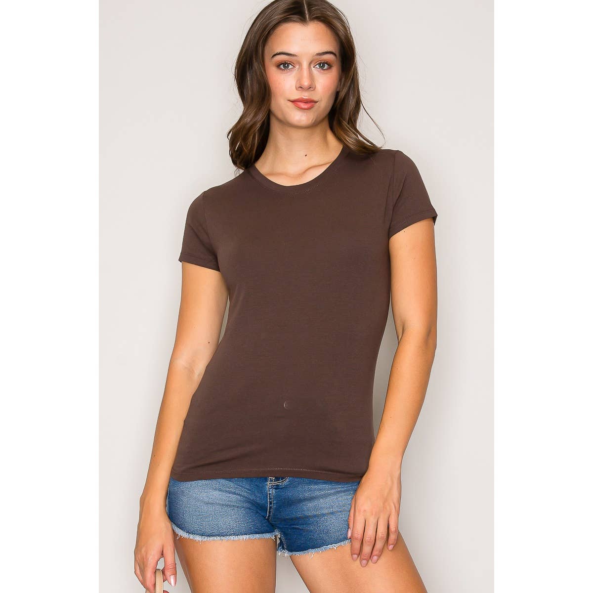 Popular 21 - Crew Neck Short Sleeve Basic Casual Knit Top: Beaver Fur / S-M-L(2-2-2)