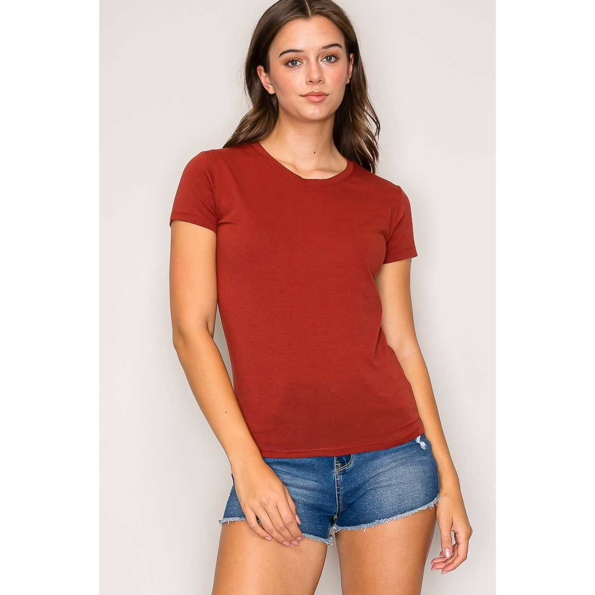 Popular 21 - Crew Neck Short Sleeve Basic Casual Knit Top: Beaver Fur / S-M-L(2-2-2)