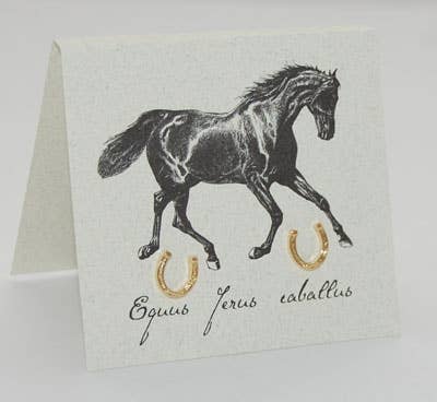 Semaki & Bird - Horseshoe Earrings Gold Natural History